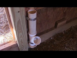 Easy DIY Chicken Grit Feeder