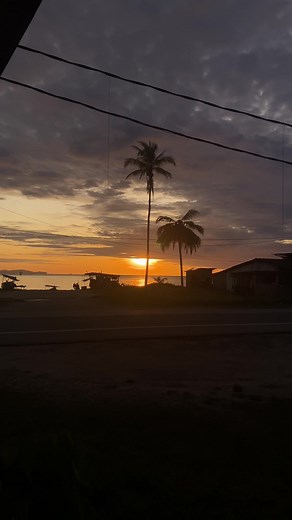 Captivating Views to Enjoy: Random Moments in Nature