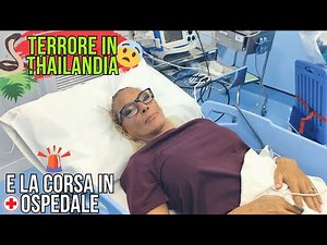 Ep. 594, Rita Bitten by a Snake 🐍 Our Escape from Thailand ✈️