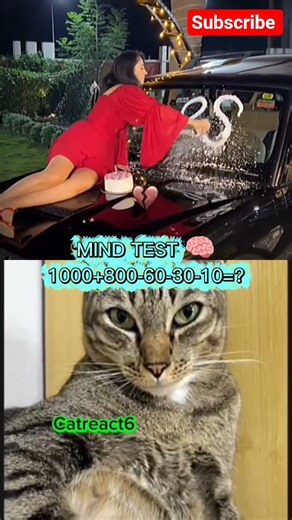 28 birthday 🎂#catbombastic #catreaction #shortvideos #catmoments #viral#trending#birthday