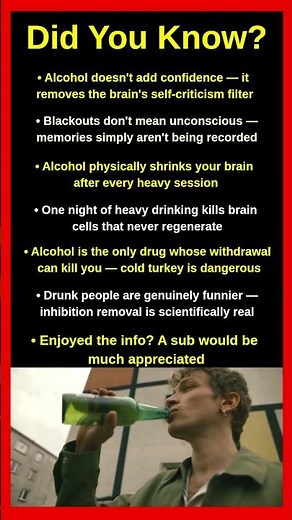 What Alcohol Actually Does To Your Brain 🍺🧠