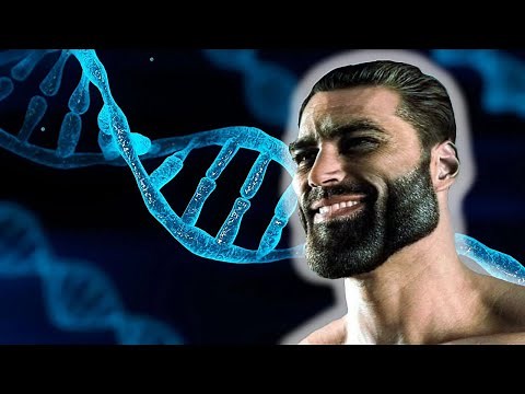 The Science Behind Physiognomy