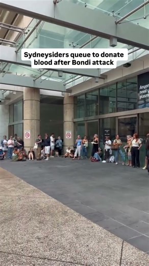 Sydneysiders Queue To Donate Blood After Bondi Attack