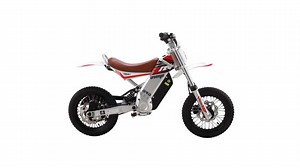 Start Them Young With The Electric Greenger G12