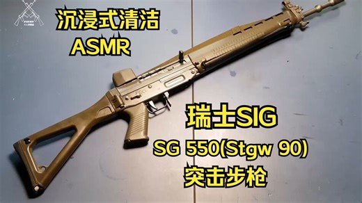 【ASMR/无字幕可加】瑞士SIG SG 550 （Stgw 90）突击步枪沉浸式清洁/维护/拆装