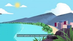 Coastal wetlands, such as mangroves, salt marshes, and seagrasses, offer a full spectrum of benefits for people and the planet. via Pew Environment | United Nations Biodiversity