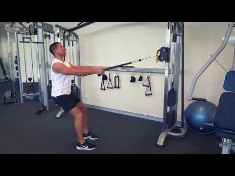 Cable Rear Delt Row (Exercises.com.au)