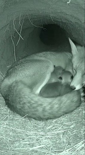 This Shadow Shouldn’t Be Here…