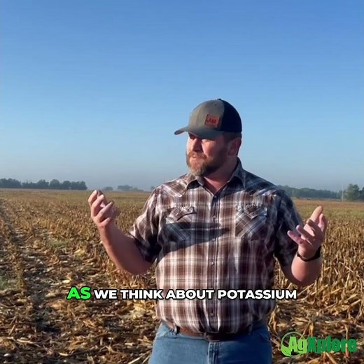 Using Potassium Acetate at Side-Dress: Practical Tips to Support Crop Yield When It Matters Most