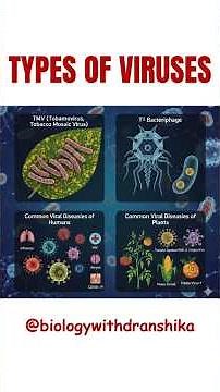 Types of Viruses — viruses differ by shape, genome, and host. #types #of #virus #virology #biology