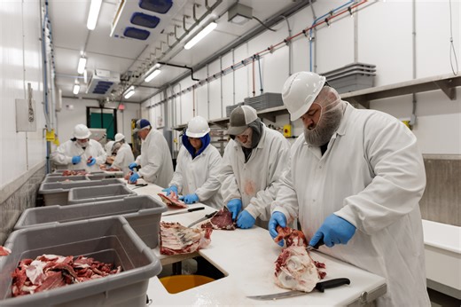 USDA Launches $60M Meat & Poultry Processing Expansion Program (MPPEP IV) Grant Funding for Beef Processors