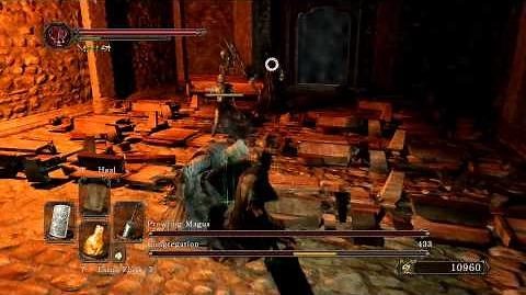 Dark Souls 2 - Prowling Magus and Congregation (Melee) Shield