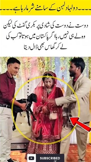 When friendship comes with a goat#GoatGift#ShaadiVibes #OnlyInPakistan#FunnyWedding#newshorts#