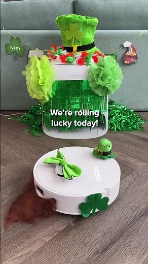 Roborock Qrevo Curv 2 Flow: Your Lucky Cleaning Companion