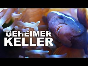 Germany's AQUARIUM & TERRARIUM Keller.. *filmed for the first time*