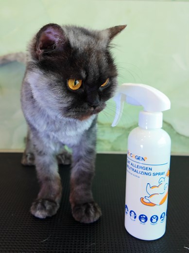 Cat Allergies? Try Pacagen's Neutralizing Spray!