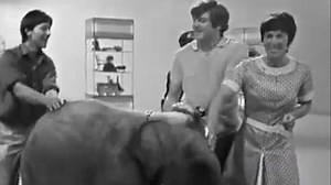 Beloved Blue Peter presenter John Noakes has fun on the show