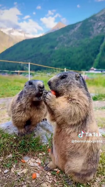 Discover the Stunning Bernese Oberland in Switzerland