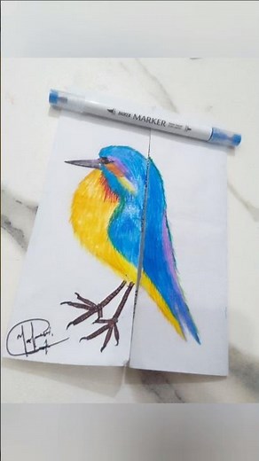 How to Make a Robin Bird Beautiful Drawing and Coloring Tutorial 🐦