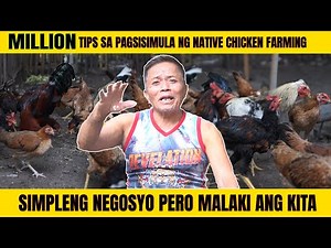 Paano Mag-umpisa ng UPGRADED Native Chicken Farming: Step-by-Step Guide para sa mga Baguhan