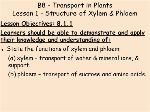 B8 Plant Transport IGCSE Biology L1 | Teaching Resources