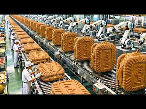 Inside a Modern Lotus Biscoff Factory: How Millions of Caramelized Biscuits Are Made Every Day