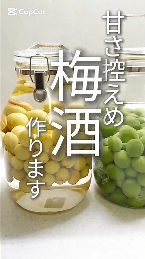簡単でヘルシー！甘さ控えめ【梅酒の作り方】公開中🍶
