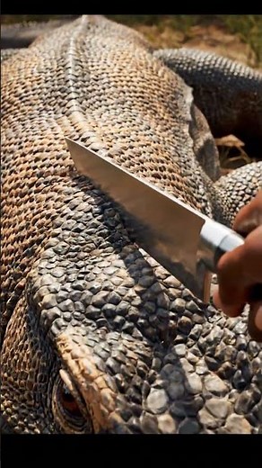 1️⃣ Realistic Komodo Dragon Turns Out to Be Cake | Shocking Cake Reveal