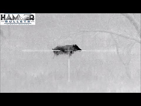 Hammer 85 Hunter Bullet | Hog Hunt | 6.5 Creedmoor