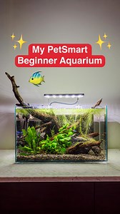244 reactions · 13 shares | The perfect aquarium set up for beginners!  AND a thriving ecosystem for a tiny school of neon tetras  Shop all your aquarium needs in store and online at PetSmart.ca  ❤️ #anythingforpets #petsmartcanada #aquarium #fishtank | PetSmart | Facebook