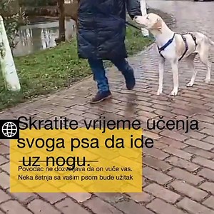Povodac za trening pasa- Instant Dog povodac CIJENA 6.50€...