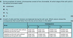 During prophase of mitosis, chromosomes consist of two chromati... | Filo