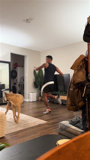 Line Dancing with My Dog: Bulletproof Challenge