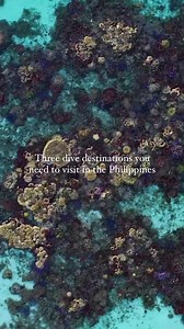 Best of the Philippines! 🇵🇭 Want to dive there?🤿Check out dive trips in different areas of the Philippines👉 http://padi.co/l20bu8kj 📹by IG user [julia.waterchild] | PADI Travel