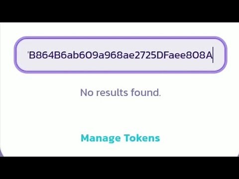 How to Fix No result Found error on Pancakeswap