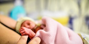Premature babies' survival rate is climbing, study says