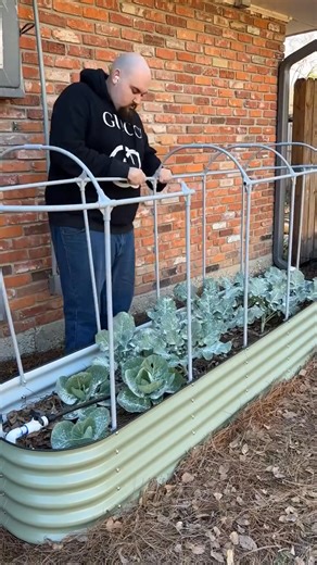 2.2K reactions · 71 shares | Provide customized protection for your garden beds with Vego's cover system. | Vego Garden | Facebook