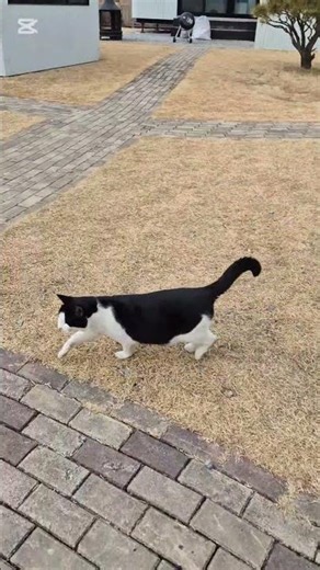 20260214파라다이스도고 #도고파라다이스 # 도고스램핑장 #아산 #도고 #노천탕 #캐빈파크