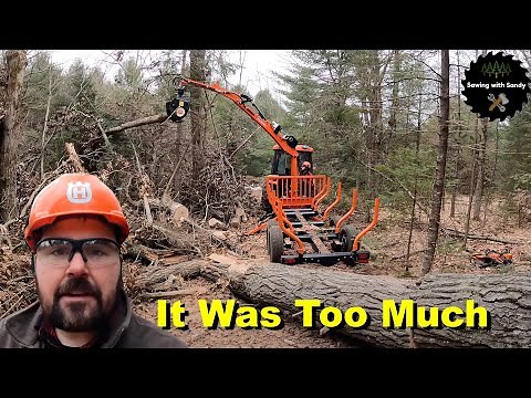 I Found the Limit of the Log Trailer