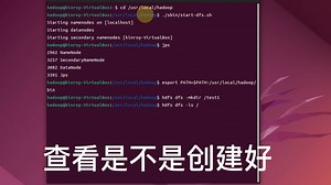 【实验】hadoop中的HDFS wordcount实验过程详细视频