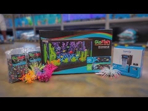 *NEW* GLO-FISH 10G AQUARIUM SETUP!!!