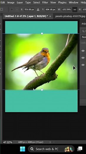 clipping mask in Photoshop tutorial for beginners| Photoshop tutorial