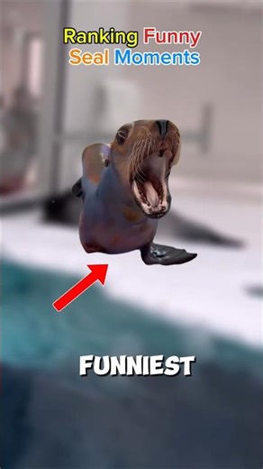 Top 5 Funniest Seal Moments 😂 (Wait for top 1!)#short