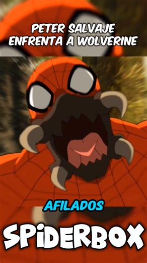 FERAL PETER FIGHTS WOLVERINE 😱🕷️