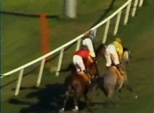 #OnThisDay in racing history on July 23, 1984... the legendary JOHN HENRY visited the winner's circle for the 36th time, winning the G1 Sunset Handicap at Hollywood Park with Chris McCarron in the irons! He was named Horse of the Year as a 9yo in 1984🏆 | Equibase Company