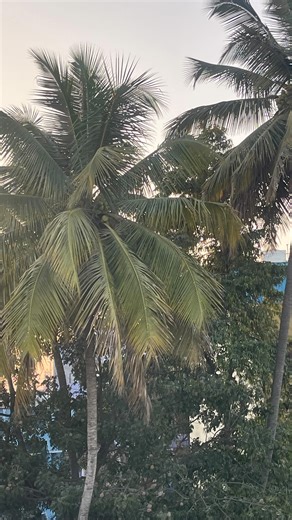 LÍVIA BOOGIE ⭐️ | lol #eldestdaughtercore | Instagram