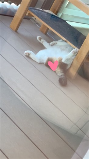 ハート見つけた🥰