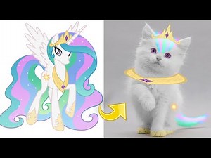 Princess Celestia as Cat MLP