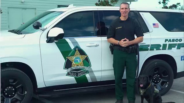 1.7K views · 98 reactions | Have you completed your 9 p.m. Routine yet? Don't forget to remove all valuables from your car, close windows completely and lock your doors before heading to bed! | Pasco Sheriff's Office | Facebook