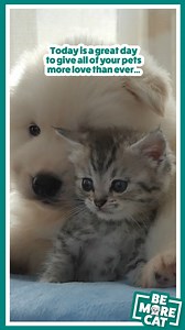 Let’s celebrate the joy animals bring into our lives! At Sanicat, we love all animals that make our lives better. 💚 Share your cutest pet pics with us! 📸👇 #SanicatUK #WorldAnimalDay | Sanicat